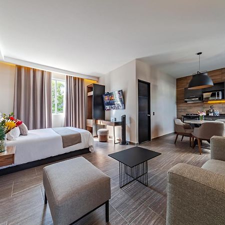 Casa Nou Hotel Мексико Сити Екстериор снимка